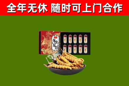 伊川县回收冬虫夏草价格